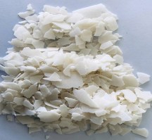 1703725579185_IMG_20231228_0902343