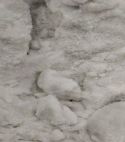 b07c503b-3988-40bc-87e8-854e751c3d54